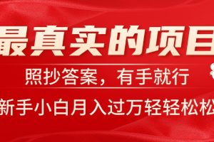 （11362期）最真实的项目，照抄答案，有手就行，新手小白月入过万轻轻松松