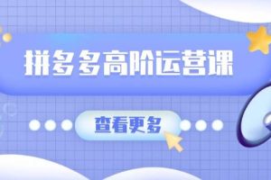 （14327期）拼多多高阶运营课：极致群爆款玩法，轻付费无尽复制，打造单品爆款之路
