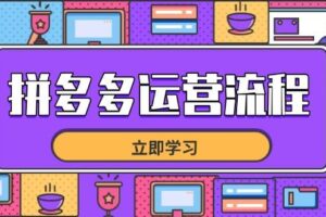 （14503期）拼多多运营流程，从选品到流量，全链路运营技巧，助力店铺爆单