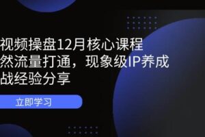 （14447期）短视频操盘12月核心课程：自然流量打通，现象级IP养成，实战经验分享