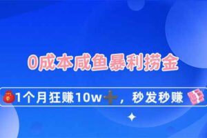 0成本闲鱼暴利捞金，1个月狂赚10W+，秒发秒赚新玩法