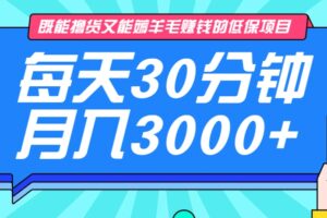 既能撸货又能赚钱的长期低保项目，每天30分钟，多号百分百稳定月入3000+！