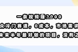 一条视频挣1k，小众冷门赛道，0成本，市场需求大，是未来半年最好做的项目，没有之一