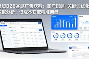 (16389期)外贸B2B谷歌广告获客:账户搭建+关键词优化+数据分析,低成本获取精准询盘