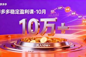 (16413期)拼多多稳定盈利课-10月,强付费SOP+微付费高投产+活动矩阵,单店月入10万+