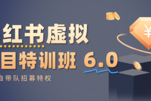 小红书虚拟项目特训班6.0 ,养号/选品/自动发货/爆款笔记(含40节视频课)