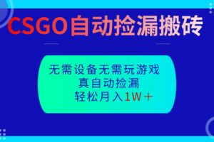 CSGO自动捡漏搬砖,当天操作当天见结果,无需了解游戏,包教包会包落地