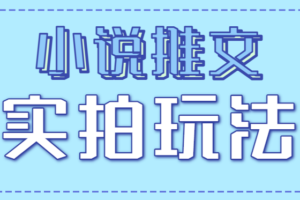 小说推文实拍玩法，零成本零门槛10元/单，轻松月收益万元
