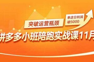 (16654期)拼多多小班陪跑实战课11月,强付费矩阵、原价活动、暗券引流,突破运营瓶颈,单店日利润破5000