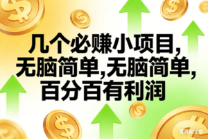 (16982期)10个必赚小项目,无脑简单,百分百有利润,副业首选,日入200+