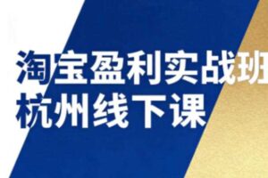 淘宝盈利实战班杭州线下课12月26-28日(音频+字幕),帮你掌握SOP流程+12门核心技术